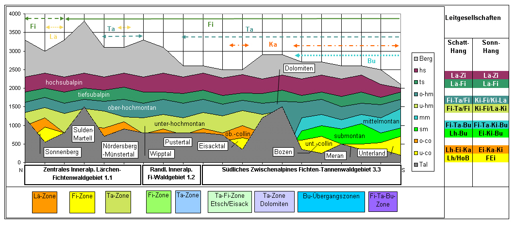 Hoehenstufenprofil