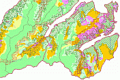 landschaftsfunktionen