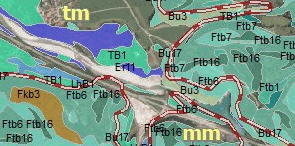 Beispiel - Ausschnitt der Waldtypenkarte