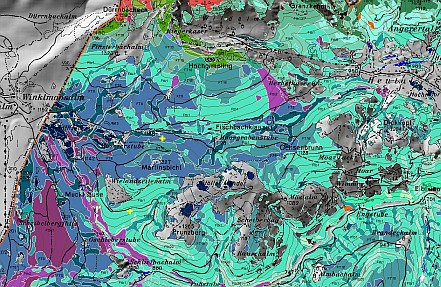 Waldtypen im Gebiet Heutal-Winkelmoos